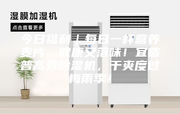 今日福利｜每日一杯營養麥片，健康又落味！宜盾普高效除濕機，干爽度過梅雨季！