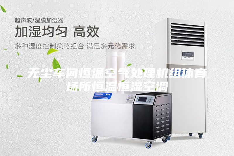 無塵車間恒溫空氣處理機組體育場所恒溫恒濕空調
