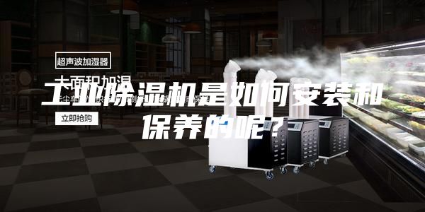 工業(yè)除濕機(jī)是如何安裝和保養(yǎng)的呢？