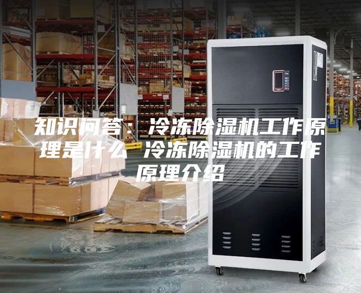 知識問答：冷凍除濕機(jī)工作原理是什么 冷凍除濕機(jī)的工作原理介紹