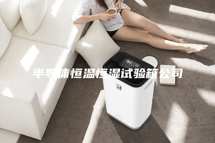 半導體恒溫恒濕試驗箱公司