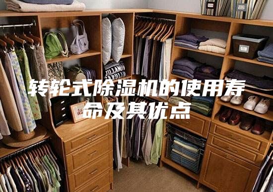 轉輪式除濕機的使用壽命及其優(yōu)點