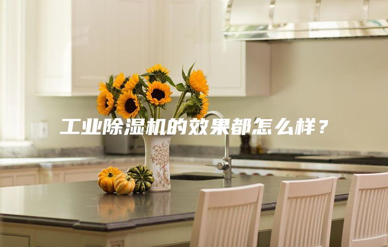 工業(yè)除濕機(jī)的效果都怎么樣？
