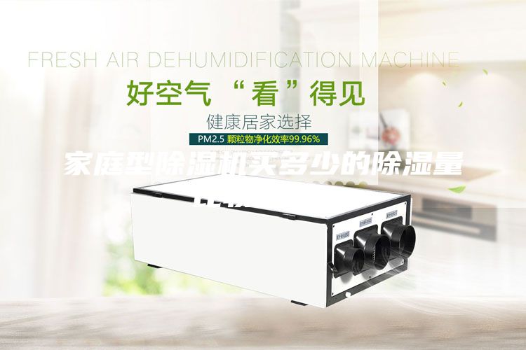 家庭型除濕機買多少的除濕量比較合適？