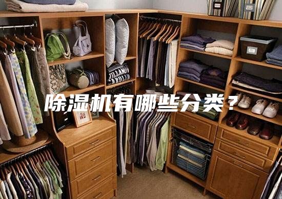 除濕機(jī)有哪些分類？