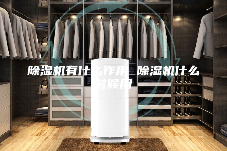 除濕機有什么作用 除濕機什么時候用