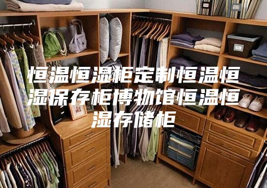 恒溫恒濕柜定制恒溫恒濕保存柜博物館恒溫恒濕存儲(chǔ)柜