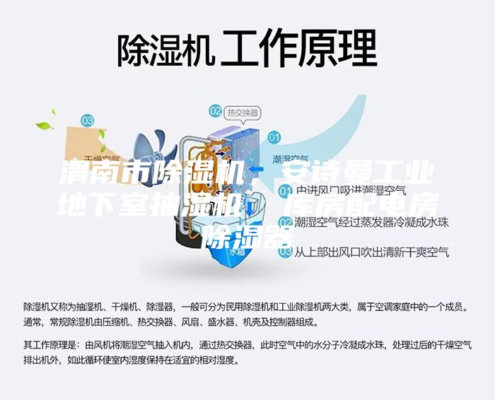 渭南市除濕機，安詩曼工業(yè)地下室抽濕機  庫房配電房除濕器