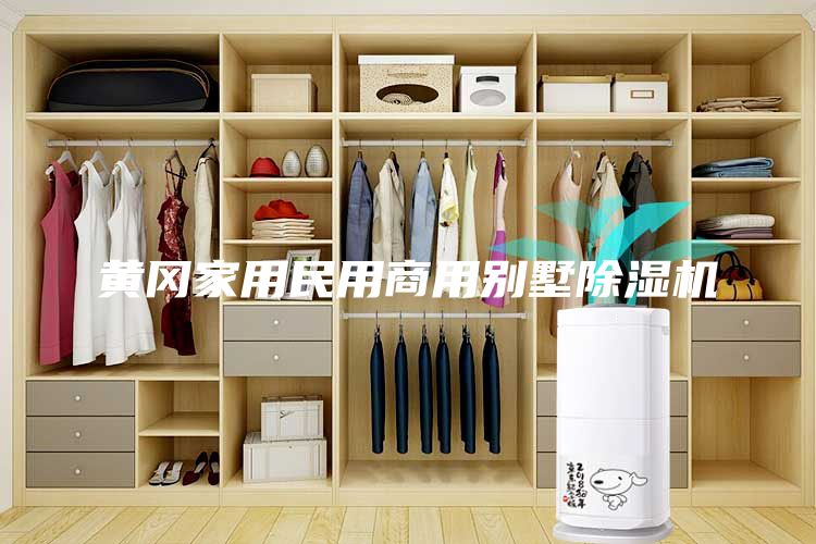 黃岡家用民用商用別墅除濕機