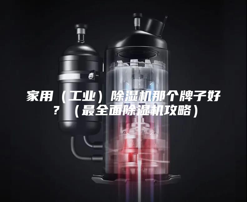 家用（工業(yè)）除濕機那個牌子好？（最全面除濕機攻略）