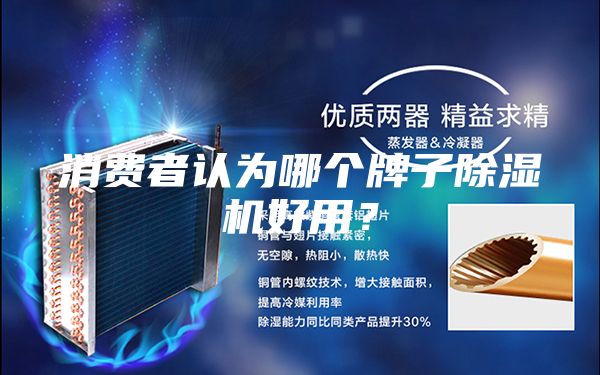 消費者認(rèn)為哪個牌子除濕機(jī)好用？