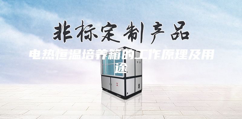 電熱恒溫培養箱的工作原理及用途