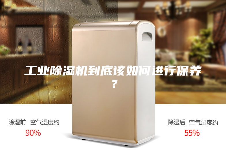 工業除濕機到底該如何進行保養？