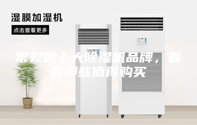常見的十大除濕機品牌，看看哪些值得購買