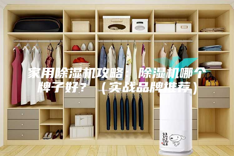 家用除濕機攻略：除濕機哪個牌子好？（實戰品牌推薦）