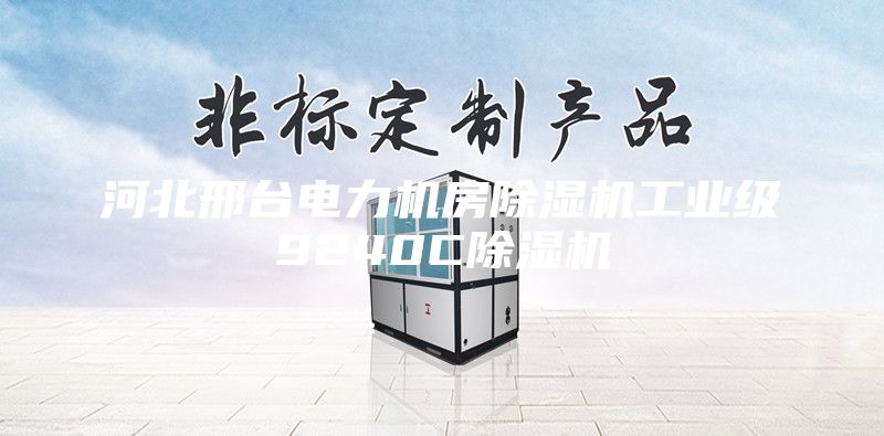 河北邢臺電力機房除濕機工業級9240C除濕機