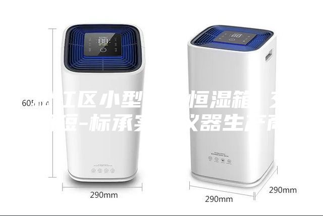 松江區小型恒溫恒濕箱 交期短-標承實驗儀器生產商