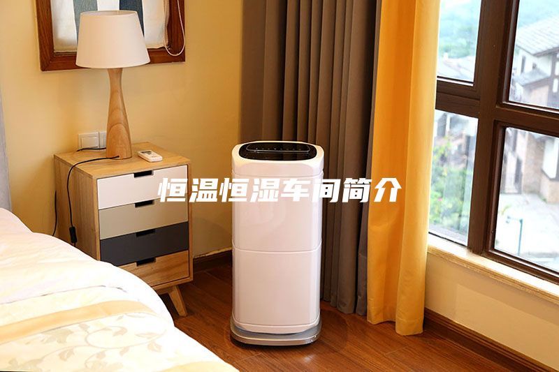 恒溫恒濕車間簡介