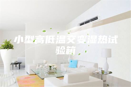 小型高低溫交變濕熱試驗(yàn)箱