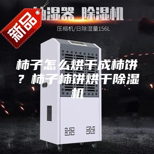 柿子怎么烘干成柿餅？柿子柿餅烘干除濕機(jī)