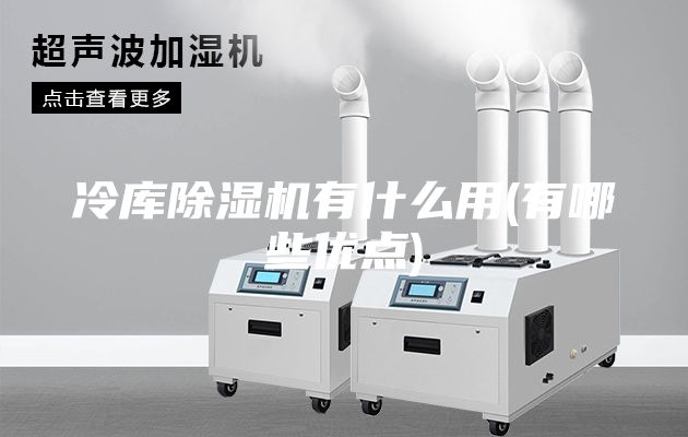 冷庫除濕機(jī)有什么用(有哪些優(yōu)點(diǎn))