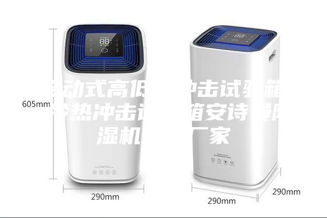 移動式高低溫沖擊試驗箱 冷熱沖擊試驗箱安詩曼除濕機生產廠家