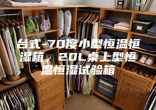 臺式-70度小型恒溫恒濕箱，20L桌上型恒溫恒濕試驗箱