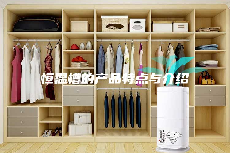 恒溫槽的產(chǎn)品特點與介紹