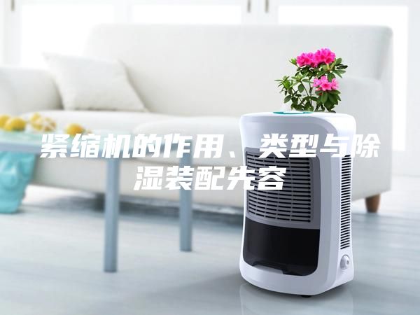 緊縮機(jī)的作用、類型與除濕裝配先容
