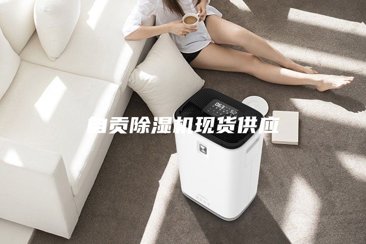 自貢除濕機現貨供應