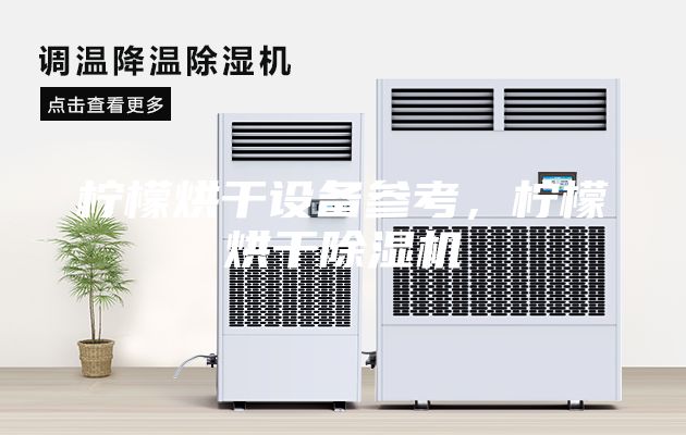 檸檬烘干設備參考，檸檬烘干除濕機