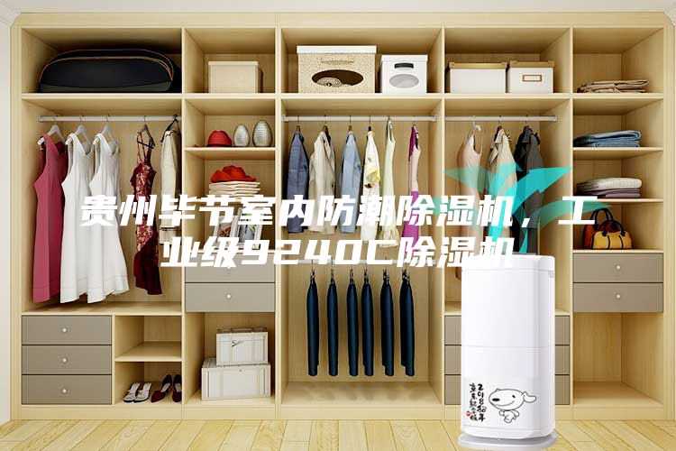 貴州畢節室內防潮除濕機，工業級9240C除濕機