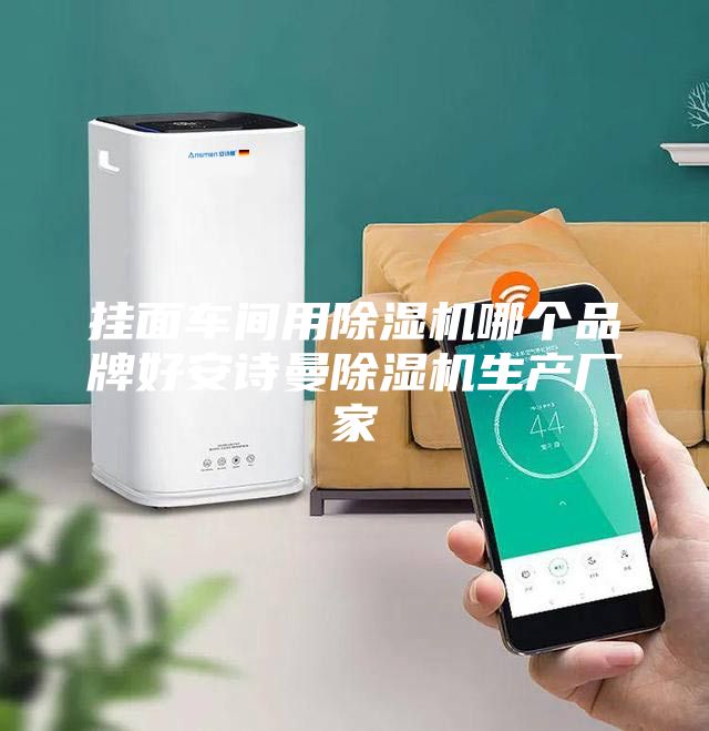 掛面車間用除濕機哪個品牌好安詩曼除濕機生產廠家
