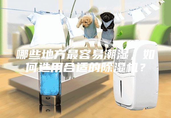 哪些地方最容易潮濕，如何選用合適的除濕機？