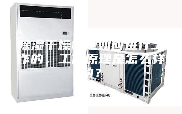 除濕干燥機是如何進行工作的，工作原理是怎么樣的？