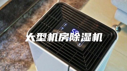 大型機(jī)房除濕機(jī)