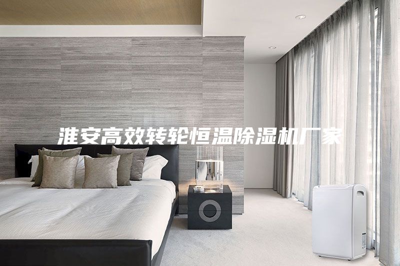 淮安高效轉(zhuǎn)輪恒溫除濕機(jī)廠家