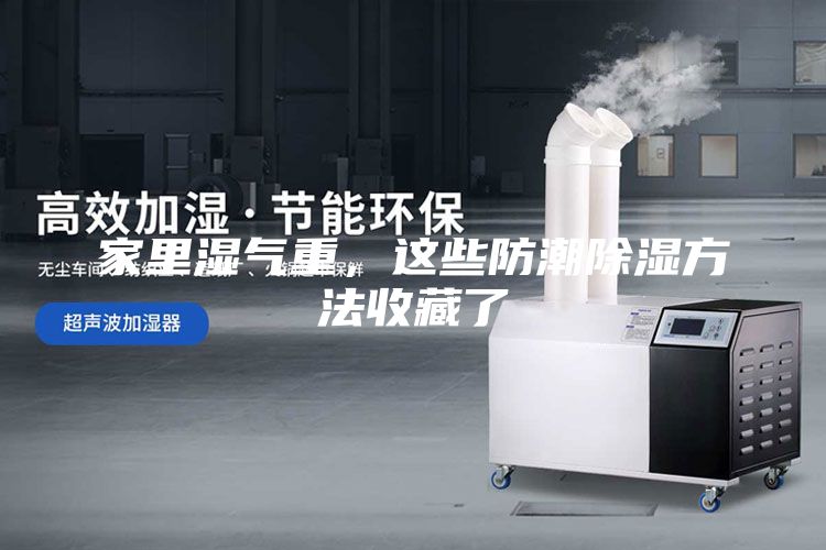 家里濕氣重，這些防潮除濕方法收藏了