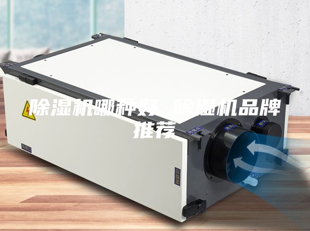 除濕機(jī)哪種好 除濕機(jī)品牌推薦