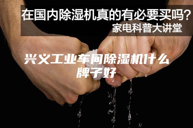 興義工業車間除濕機什么牌子好