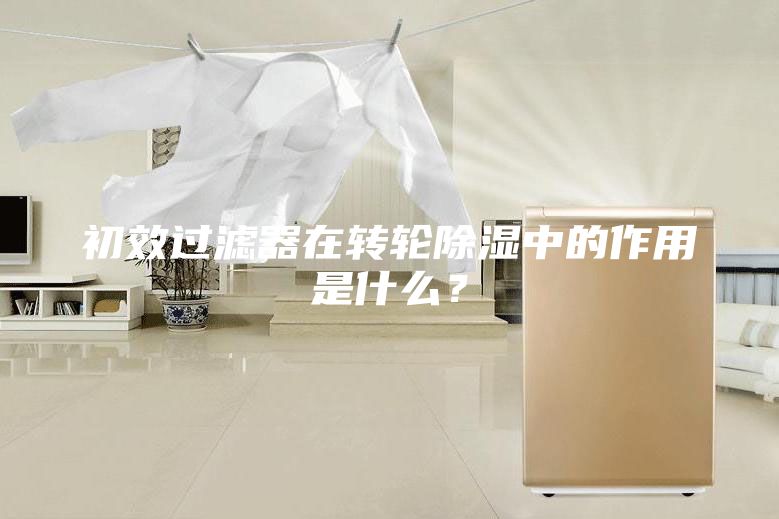 初效過濾器在轉(zhuǎn)輪除濕中的作用是什么？