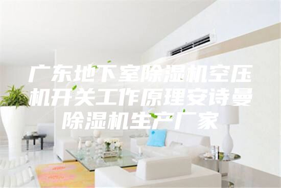 廣東地下室除濕機空壓機開關工作原理安詩曼除濕機生產廠家