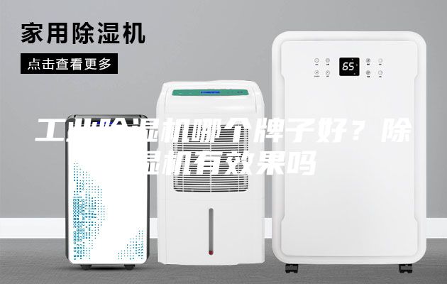 工業(yè)除濕機(jī)哪個(gè)牌子好？除濕機(jī)有效果嗎