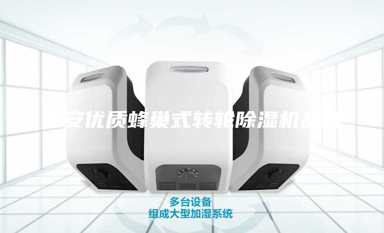 淮安優質蜂巢式轉輪除濕機品牌
