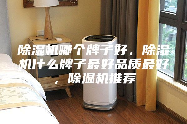 除濕機(jī)哪個(gè)牌子好，除濕機(jī)什么牌子最好品質(zhì)最好，除濕機(jī)推薦