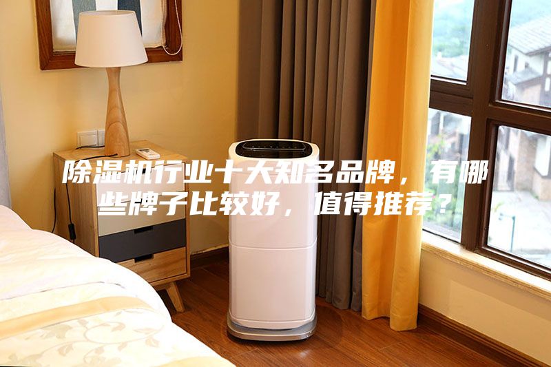 除濕機行業十大知名品牌，有哪些牌子比較好，值得推薦？