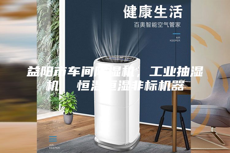 益陽市車間除濕機，工業(yè)抽濕機  恒溫恒濕非標機器