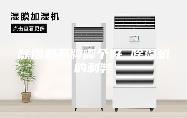 除濕機(jī)品牌哪個(gè)好 除濕機(jī)的利弊