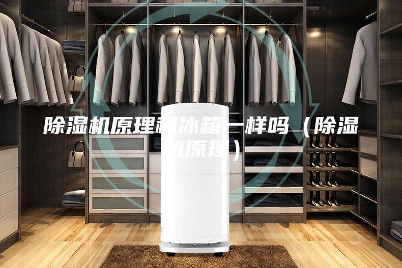 除濕機原理和冰箱一樣嗎（除濕機原理）