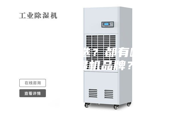 除濕機(jī)怎么選？都有哪些好的除濕機(jī)品牌？